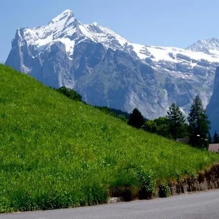 Apartment Am Eigen 2 Bett Grindelwald